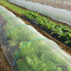 【未経験歓迎！】無農薬の畑で簡単な作業【週１～３回】の画像