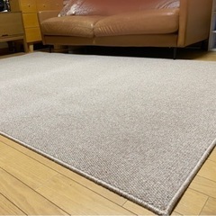 【決まりました】約170×260cm  カーペット  絨毯  ラ...
