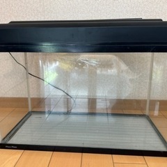 【お値下げしました】水槽　60cm ライト、濾過器　付き