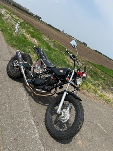 カスタム多数 YAMAHA TW200