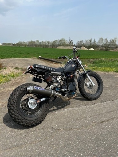 カスタム多数 YAMAHA TW200