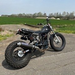 カスタム多数 YAMAHA TW200