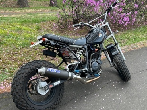 カスタム多数 YAMAHA TW200