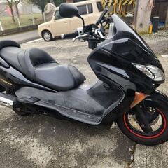 ＊明日まで限定販売