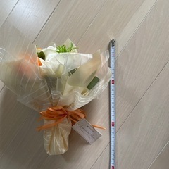 生活雑貨 家庭用品 ガーデニングの画像