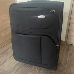 スーツケースとその他モロモロの画像