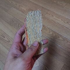 アカシアコンフサ根皮の画像