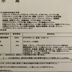 メダカの餌 リッチA 100ｇの画像