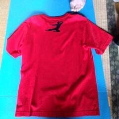 ブルース・リーTシャツ メンズの画像