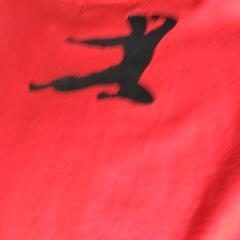 ブルース・リーTシャツ メンズの画像