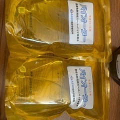 熱帯魚飼育用スーパーバイオ培養水の画像