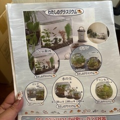 熱帯魚飼育用スーパーバイオ培養水の画像