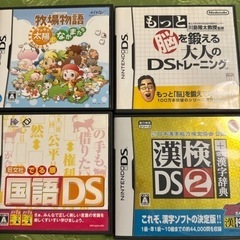 ニンテンドーDS ソフト　Nintendo