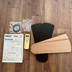 シーリングファンライト【ODELIC製】の画像