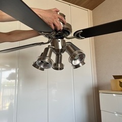 シーリングファンライト【ODELIC製】の画像