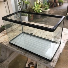 60cm x D30cmx H 36cm ニッソーコーナーR 中古水槽
