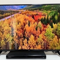 ☆美品☆TCL社2021年製43型液晶テレビ (ワンちゃんマン) 衣笠の