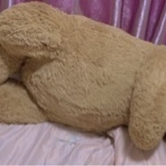 おもちゃ おもちゃ ぬいぐるみの画像