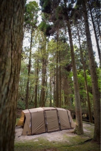 ogawa（オガワ）アポロン