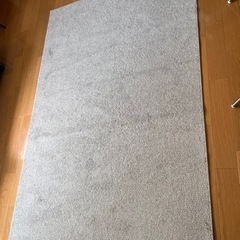 SPORUP スポルプ　ikea ラグの画像