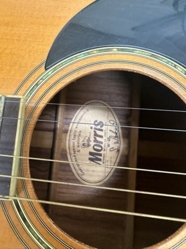Morris アコースティックギターW-40  中古