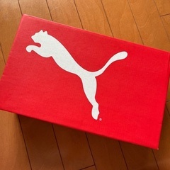 PUMA 室内フットサル靴　27.5 の画像