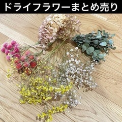 ドライフラワー　花材　まとめ売り