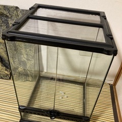 グラステラリウム3045 PT2602 爬虫類ケージの画像