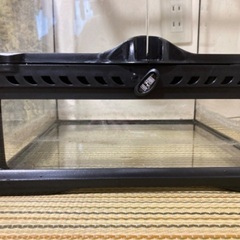 グラステラリウム3045 PT2602 爬虫類ケージの画像