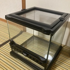 グラステラリウム ナノキューブ PT2599 爬虫類ケージの画像