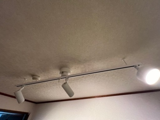 ダクトレール照明とエジソンスマートミニシーリングライト