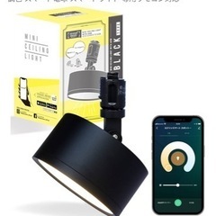 ダクトレール照明とエジソンスマートミニシーリングライトの画像
