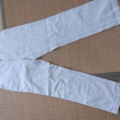 エディバウアーのシャツとパンツ　ジーンズ短パン