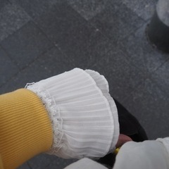 気軽にphotowalkに行きませんか？カメラ仲間募集‼️
