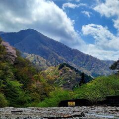 山登り仲間 募集！御岳山に行こう