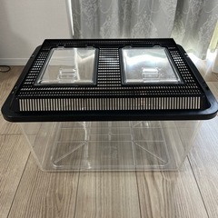 プラケース　飼育ケース　　大型