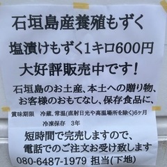 石垣島産養殖もずく販売会