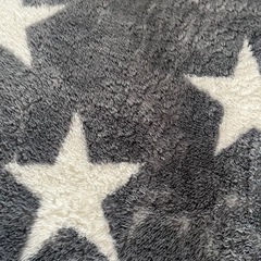 　予約済み　家具 カーペット/マット/ラグの画像