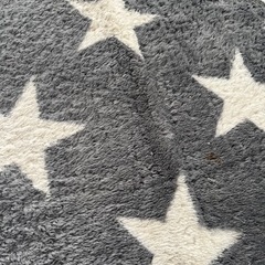 　予約済み　家具 カーペット/マット/ラグの画像