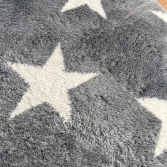 　予約済み　家具 カーペット/マット/ラグの画像