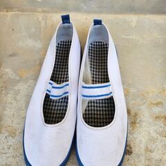 上履き25センチ
