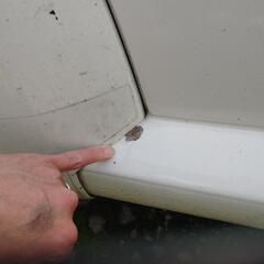 大幅値下★VWニュービートル　カワイイフォルムが大人気！の画像