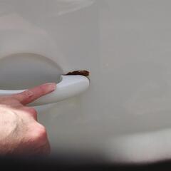 大幅値下★VWニュービートル　カワイイフォルムが大人気！の画像