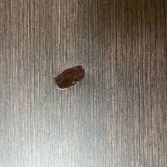 ローテーブル　2段式の画像