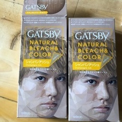 シャンパンアッシュ髪染め