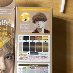 シャンパンアッシュ髪染めの画像