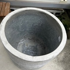 観葉植物用　鉢　ガーデニングの画像