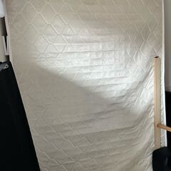 本日引き取り希望！の画像