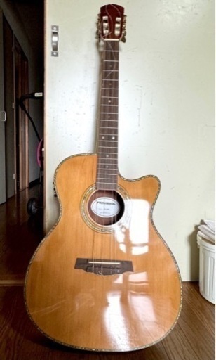 値下げ　
楽器 弦楽器、ギター