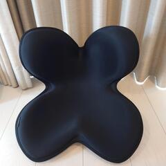 MTG 骨盤サポートチェア Body Make Seat Sty...
